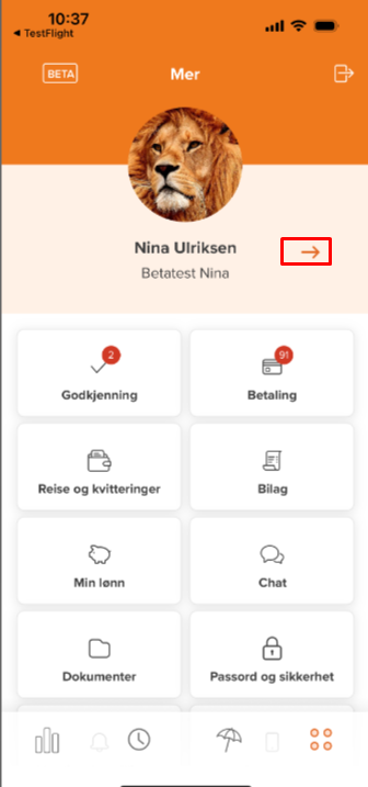 Profil Nina Ulriksen: Godkjenning, Betaling, Reise og kvitteringer, Bilag, Min lønn, Chat, Dokumenter, Passord og sikkerhet