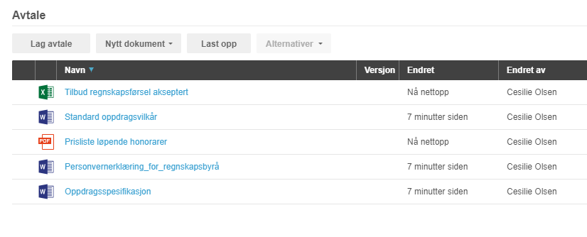 Avtale-liste: fem dokumenter (Excel, Word, PDF) med Navn, Version, Endret, Endret av-kolonner